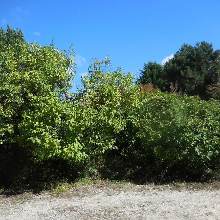 La Madriguera Gardes-le-Pontaroux