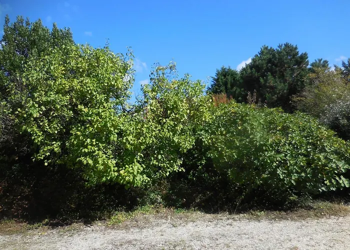 La Madriguera Gardes-le-Pontaroux